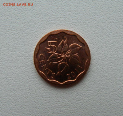 Свазиленд 5 центов 2011 г.  С рубля! до  12.01.26 - DSCN0330.JPG