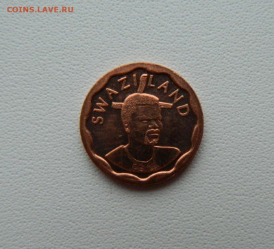 Свазиленд 5 центов 2011 г.  С рубля! до  12.01.26 - DSCN0331.JPG