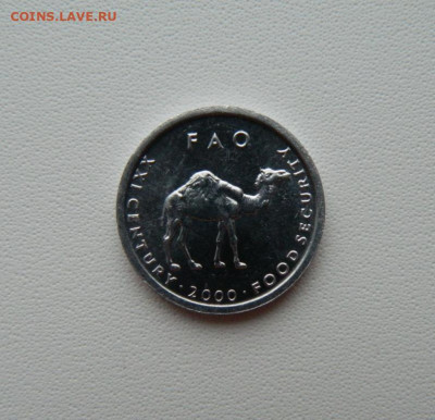 Сомали 10 шиллингов 2000 г. (ФАО) Фауна С рубля! 12.01.26 - DSCN0328.JPG