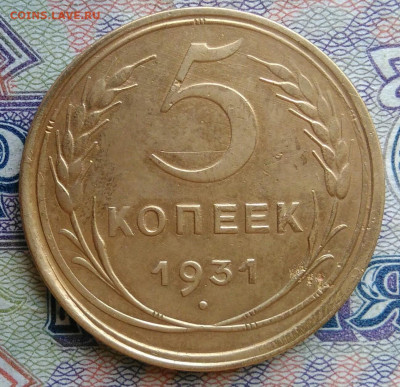 5 копеек 1931 года до 12.01.2026 - IMG_20251223_201909