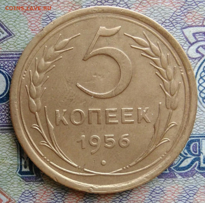 5 копеек 1956 года до 12.01.2026 - IMG_20251223_193757