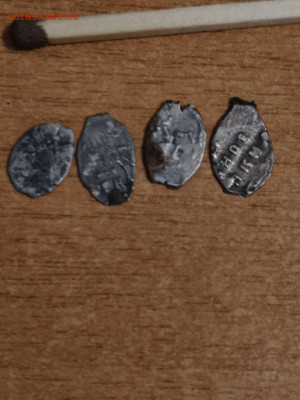 Маленькие Чешуйки! 4 штук       Окончание 10.01.2026   мск - photo_2026-01-08_15-55-38