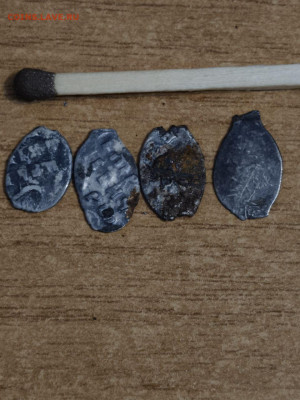 Маленькие Чешуйки! 4 штук       Окончание 10.01.2026   мск - photo_2026-01-08_15-55-42