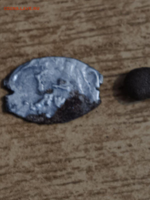 Маленькие Чешуйки! 4 штук       Окончание 10.01.2026   мск - photo_2026-01-08_15-55-28