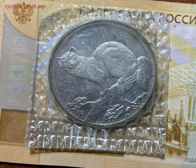 3 р 1995г соболь запайка серебро - IMG_7480