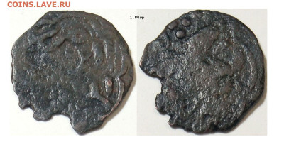 ЗО. Пул "Птица со змеёй" до 15.01.26 в 22-10 - Гаруда