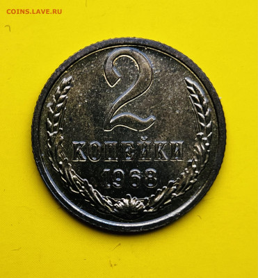 На оценку - IMG_4307