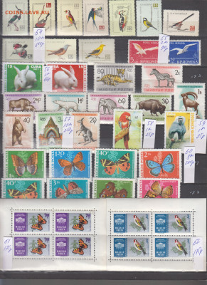 Марки мира Фауна 1 чистые по фиксу - 8-0