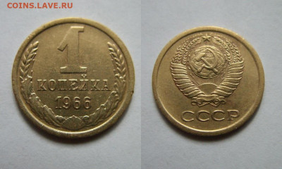 1 коп. 1966 нечастая (пять стеблей) до 14.01.2026 22:00 Мск - SS850700.JPG
