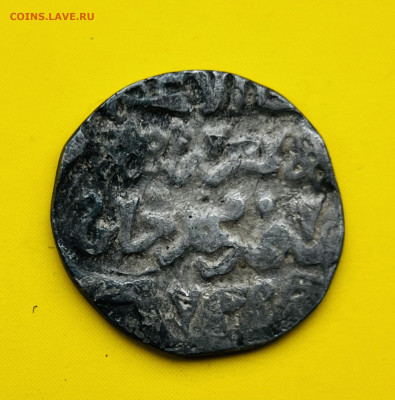 Данг Узбека до 22:00 10.01 - IMG_4305