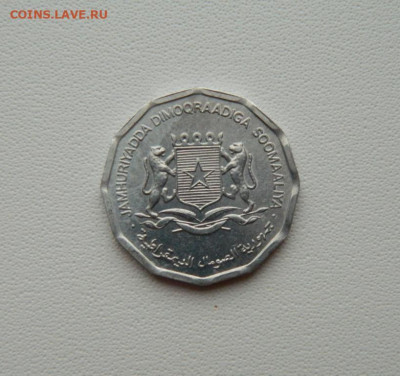 Сомали 10 центов 1976 г. (Фауна)  С рубля! до 15.01.26 - DSCN0435.JPG