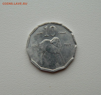 Сомали 10 центов 1976 г. (Фауна)  С рубля! до 15.01.26 - DSCN0434.JPG