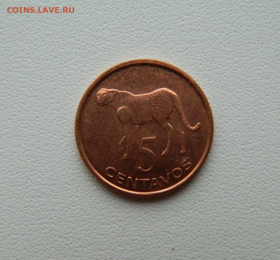 Мозамбик 5 сентаво 2006 г. (Фауна) С рубля! до 15.01.26 - DSCN0385.JPG