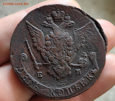 5 копеек 1770 ЕМ до 14.01.26 г. до 22-00 МСК - IMG_20260110_130543