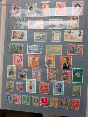 Альбом иностранные марки более 450 штук до 12.01 - PXL_20251220_074139688~2