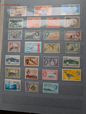 Альбом иностранные марки более 450 штук до 12.01 - PXL_20251220_074147351~2