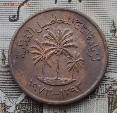 ОАЭ 1 филс 1973 до 18.01.2026 - ОАЭ 1 филс 73 .JPG