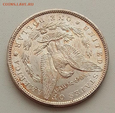 США 1 доллар 1896 до 15.01.26 в 22.00. - IMG_20260112_132433