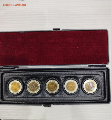 Кк-5 монет в футляре. Блиц. - IMG_20260112_165635