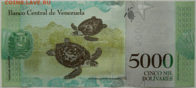 Венесуэла 5000 боливаров 2017 г. до 18.01.26 - DSCN9317.JPG