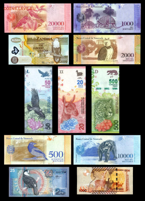 Комплект банкнот ФАУНА - 11 шт.   до 14.01. в 22:00 мск. - 11 бон_ 2270