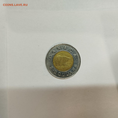 2 доллара канады, до 17.01.26г. - IMG_20260112_160040