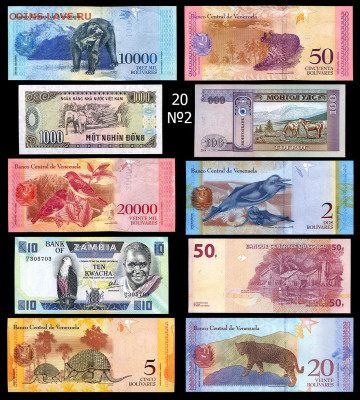 Комплект банкнот ФАУНА - 20 шт.  до 14.01. в 22:00 мск. - Фауна 20 штук №2 _ фото-2    