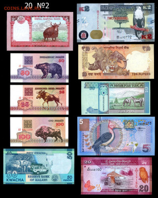 Комплект банкнот ФАУНА - 20 шт.  до 14.01. в 22:00 мск. - Фауна 20 штук №2 _ фото-1     