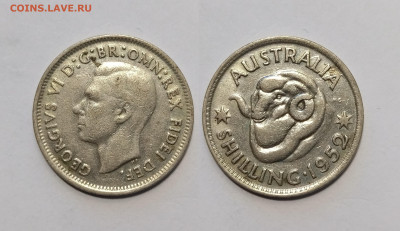 Австралия шиллинг 1952 года Георг VI - 15.01 - IMG_20260111_174759