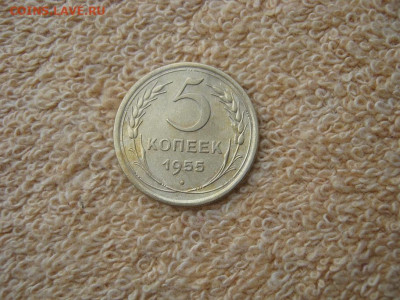 5 Копейки 1955 Красавец  до 22-00 МСК 19.01.26 - IMG_6287.JPG