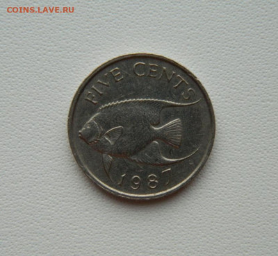 Бермудские острова 5 центов 1987г.(Фауна)С рубля! до 19.01. - DSCN0475.JPG