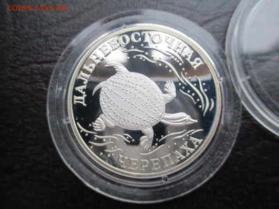 1р 2003 Черепаха - IMG_0066.JPG