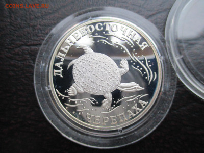 1р 2003 Черепаха - IMG_0065.JPG