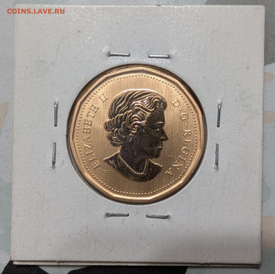 Канада 1 доллар 2013 2014 удешевление ФИКС до 14.01 - PXL_20260113_183413504~2