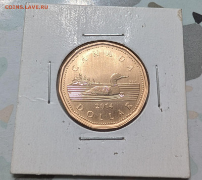 Канада 1 доллар 2013 2014 удешевление ФИКС до 14.01 - PXL_20260113_183405142~2