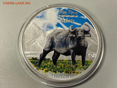 Конго 240 франков 2008 Буйвол Ag999, до 20.01 - Ю Афр.5-ка Буйвол-1