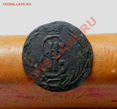 Сибирская полушка;1770г.км. 01.03.12г. 22:00ч. вр. Московск - DSC06962.JPG
