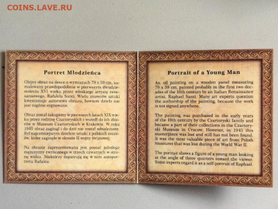 1дол 2014 Ниуэ Портрет молодого человека. Рафаэль, Ag999 - Ю Портрет молодого-4