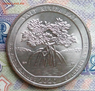 4 доллара 2020 года до 19.01.2026 - IMG_20260112_185112