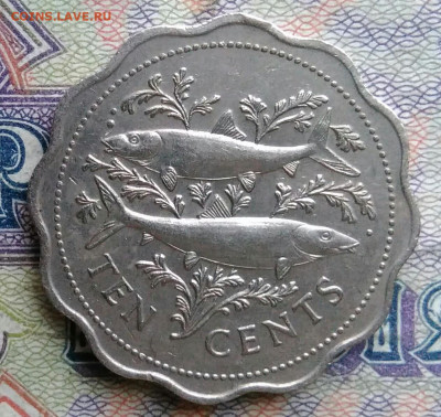 Багамы 10 центов 1985 года до 19.01.2026 - IMG_20260112_193326