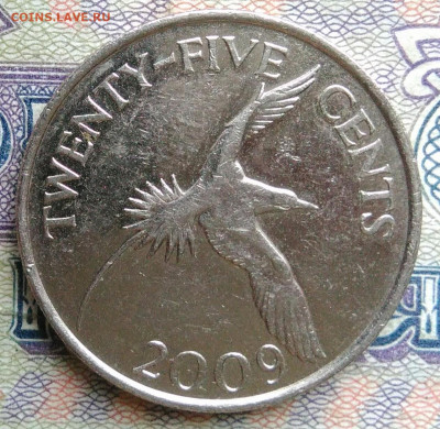 Бермуды 25 центов 2009 года до 19.01.2026 - IMG_20260114_003256