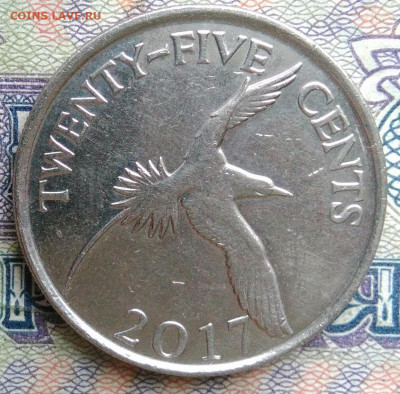 Бермуды 25 центов 2017 года до 19.01.2026 - IMG_20260114_001609