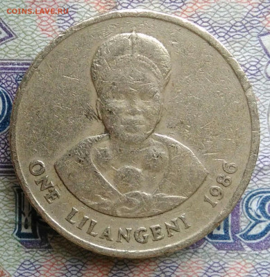 Свазиленд 1 лилангени 1986 года до 19.01.2026 - IMG_20260114_000131