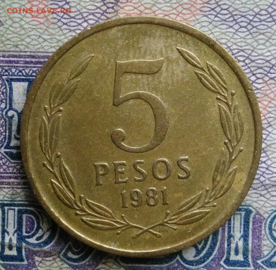 Чили 5 песо 1981 года до 19.01.2026 - IMG_20260114_003328