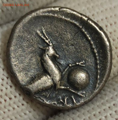 3А - IMG_20251202_232211