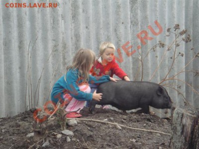 Наши дети - DSC03008 (Small).JPG