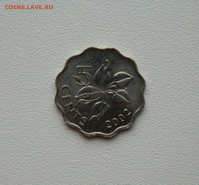 Свазиленд 5 центов 2002 г. С рубля! до 20.01.26 - DSCN0499.JPG