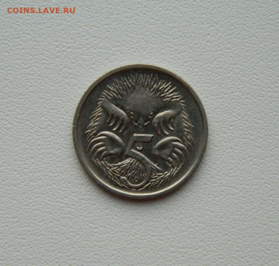 Австралия 5 центов 1991 г. (Фауна) С рубля! до 20.01.26 - DSCN0533.JPG