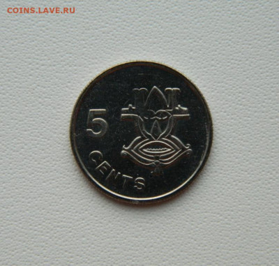 Соломоновы острова 5 центов 1996 г. С рубля! до 20.01.26 - DSCN0506.JPG