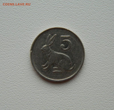 Зимбабве 5 центов 1995 г. (Фауна) С рубля! до 20.01.26 - DSCN0493.JPG